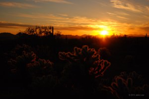 Sunset at McDowell Mountain Regional Park in Arizona.