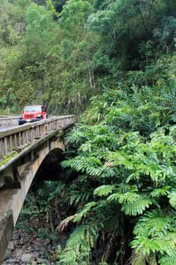 Backroads-review-bridge-and-jungle-